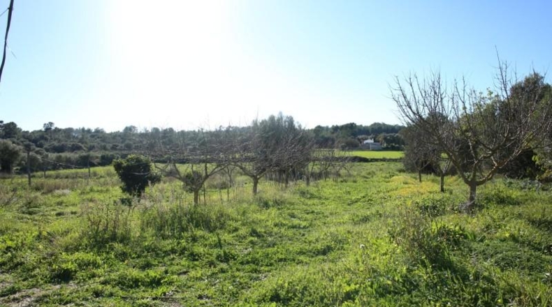 Balearic Islands - San Juan - 14763m2