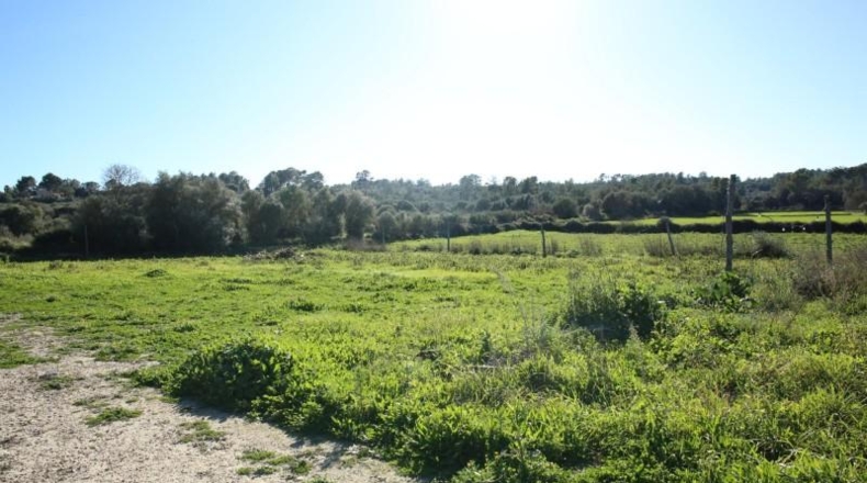 Balearic Islands - San Juan - 14763m2