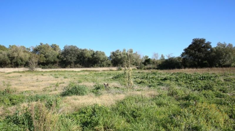 Balearic Islands - San Juan - 14763m2