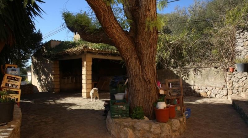 Balearic Islands - San Juan - 14763m2
