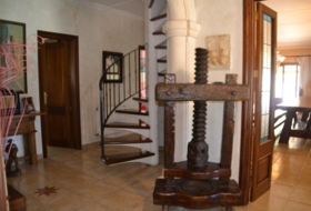 Foto 15