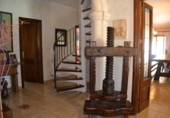 Chalet independiente con terreno en venta en la España, Santa Margalida, ref: TR135299 foto