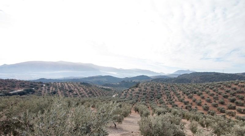 Comunidad de Madrid - Madrid - 460000m2
