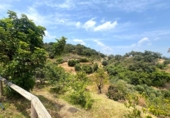 Casa de campo con terreno en venta en la España, Estepona, ref: TR249572 foto