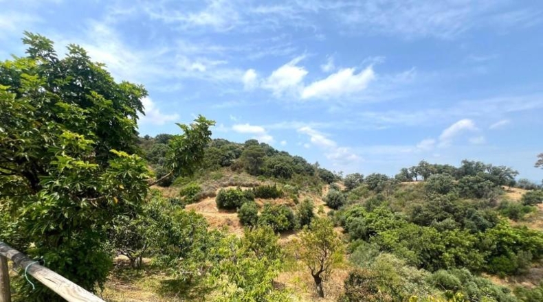 Málaga - Estepona - 49000m2