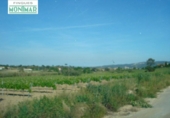 Chalet independiente con terreno en venta en la España, Castellví, ref: TR135548 foto