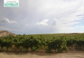 Chalet independiente con terreno en venta en la España, Castellví, ref: TR135548 foto