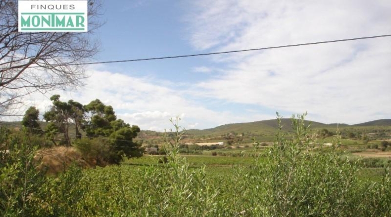 Barcelona - les Cases Noves de Cal Marques - 600000m2