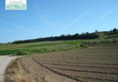 Chalet independiente con terreno en venta en la España, Castellví, ref: TR135548 foto