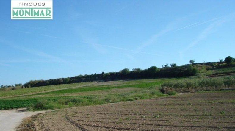 Barcelona - les Cases Noves de Cal Marques - 600000m2