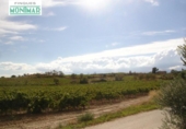 Chalet independiente con terreno en venta en la España, Castellví, ref: TR135548 foto