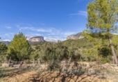Chalet independiente con terreno en venta en la España, Alaró, ref: TR340139 foto