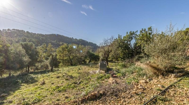 Islas Baleares - Alaró - 125m2