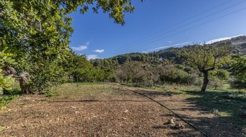 Islas Baleares - Alaró - 125m2
