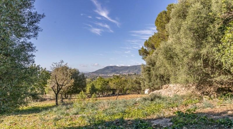 Islas Baleares - Alaró - 125m2