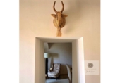 Detached villa with land for sale on España, Manacor, ref: TR394635 photo