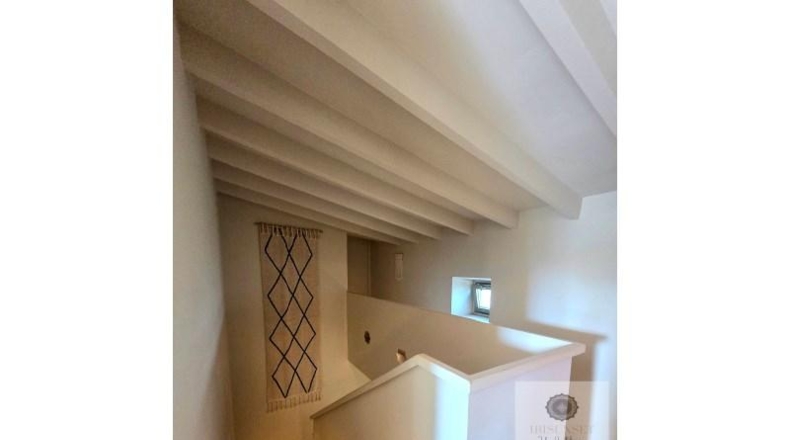 Balearic Islands - Manacor - 8991m2
