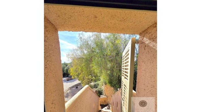Balearic Islands - Manacor - 8991m2