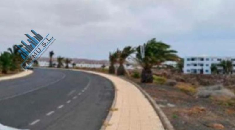 Las Palmas - Teguise - 60800m2