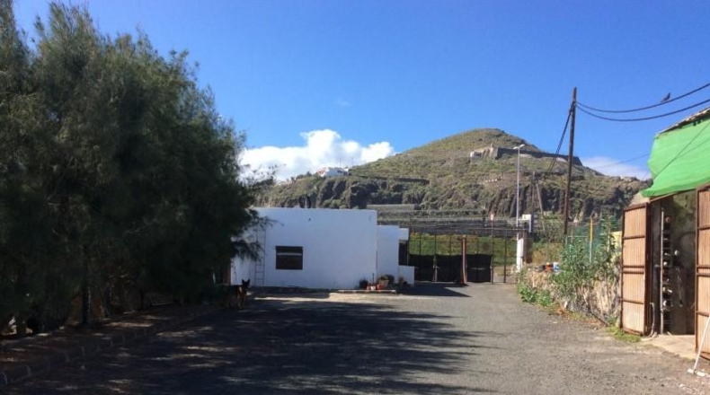 Las Palmas - Arucas - 10000m2