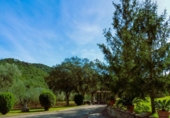Finca rústica en venta en la España, Calonge, ref: TR297621 foto