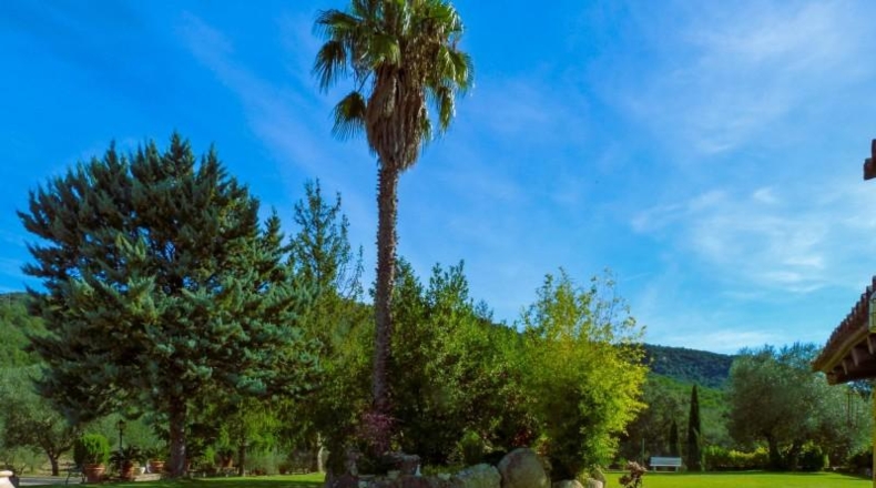 Girona - Calonge - 240000m2
