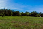 Finca rústica en venta en la España, Calonge, ref: TR297621 foto
