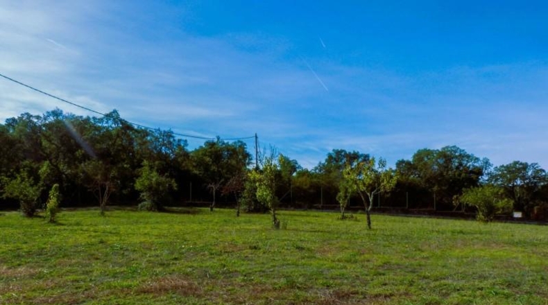 Girona - Calonge - 240000m2