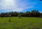 Finca rústica en venta en la España, Calonge, ref: TR297621 foto