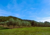 Finca rústica en venta en la España, Calonge, ref: TR297621 foto