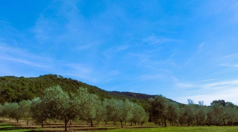 Girona - Calonge - 240000m2