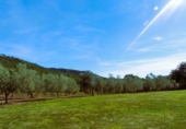 Finca rústica en venta en la España, Calonge, ref: TR297621 foto