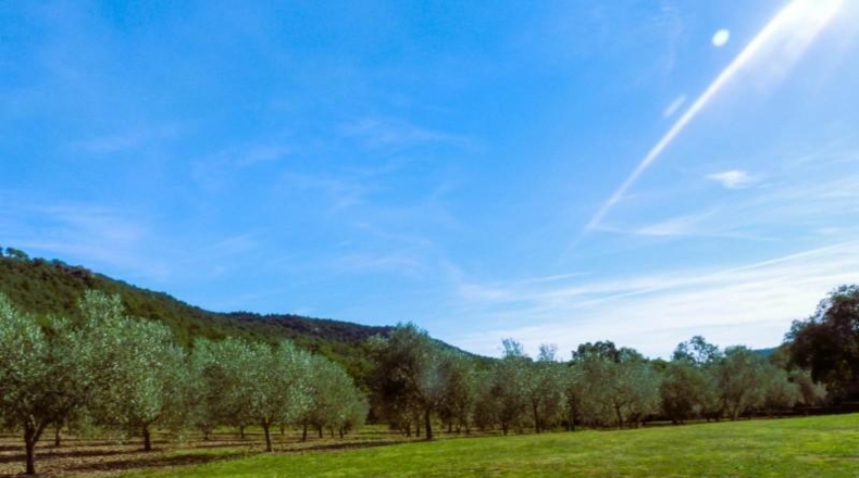 Girona - Calonge - 240000m2