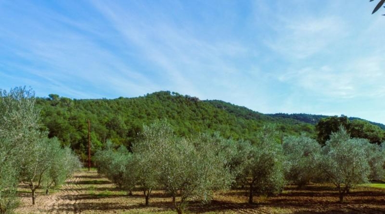 Girona - Calonge - 240000m2