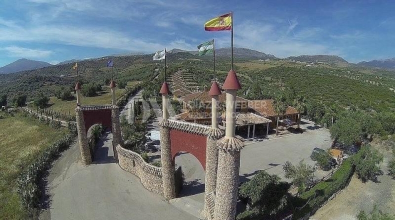 Málaga - Periana - 23000m2