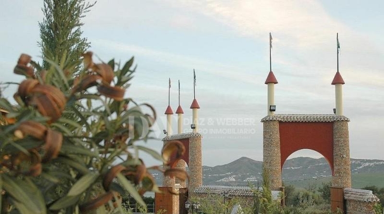 Málaga - Periana - 23000m2