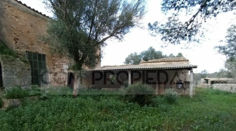 Balearic Islands - Felanitx - 217089m2