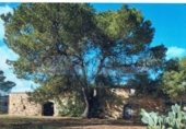 Terreno no urbanizable en venta en la España, Felanitx, ref: TR390180 foto