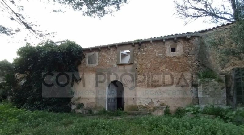 Balearic Islands - Felanitx - 217089m2