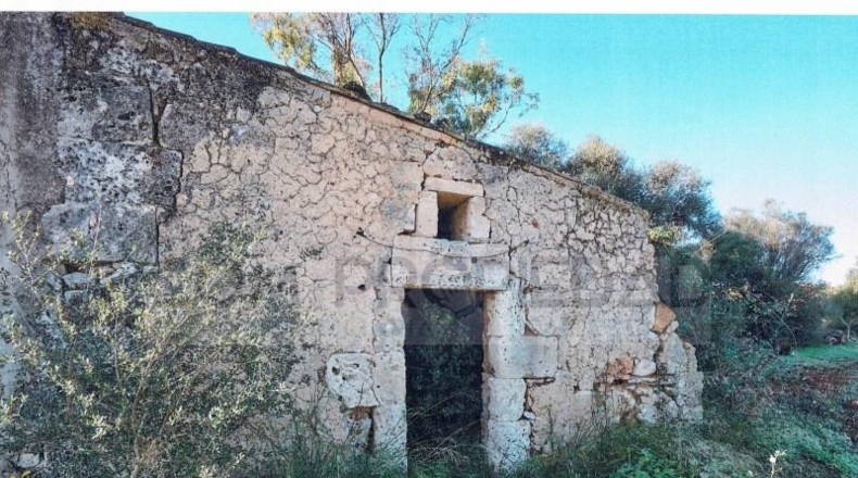 Balearic Islands - Felanitx - 217089m2