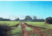 Terreno no urbanizable en venta en la España, Felanitx, ref: TR390180 foto