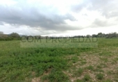 Terreno no urbanizable en venta en la España, Felanitx, ref: TR390180 foto