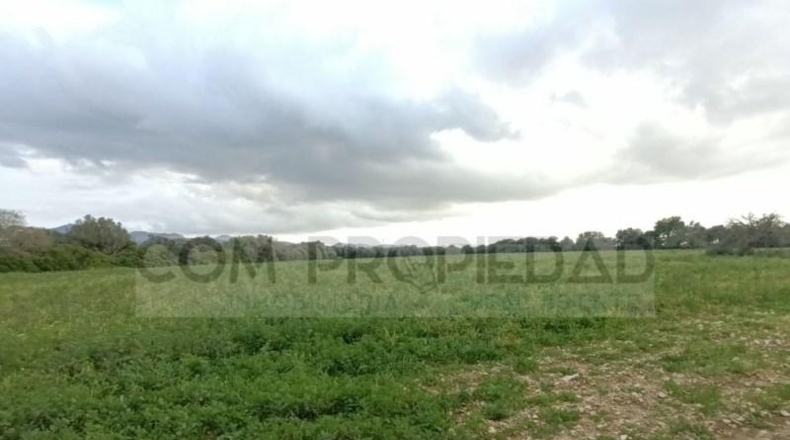 Balearic Islands - Felanitx - 217089m2
