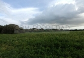 Terreno no urbanizable en venta en la España, Felanitx, ref: TR390180 foto