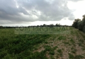 Terreno no urbanizable en venta en la España, Felanitx, ref: TR390180 foto