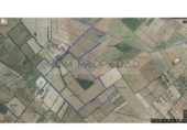 Terreno no urbanizable en venta en la España, Felanitx, ref: TR390180 foto