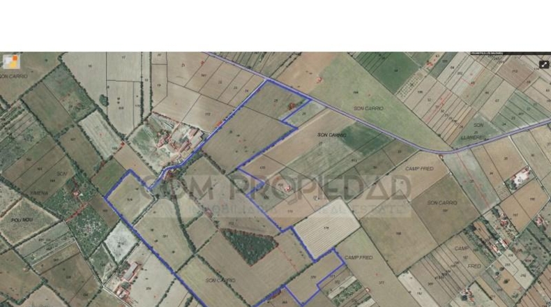 Balearic Islands - Felanitx - 217089m2