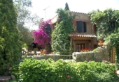Chalet independiente con terreno en venta en la España, Calella de Palafrugell, ref: TR136514 foto