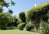 Chalet independiente con terreno en venta en la España, Marbella, ref: TR240797 foto