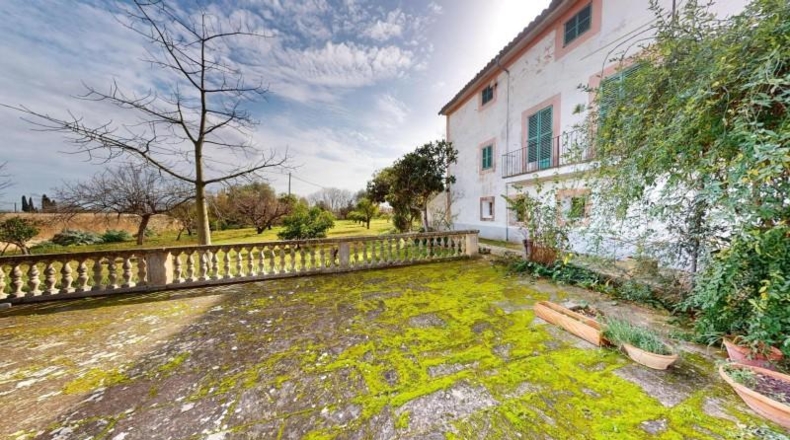 Islas Baleares - Palma - 42645m2
